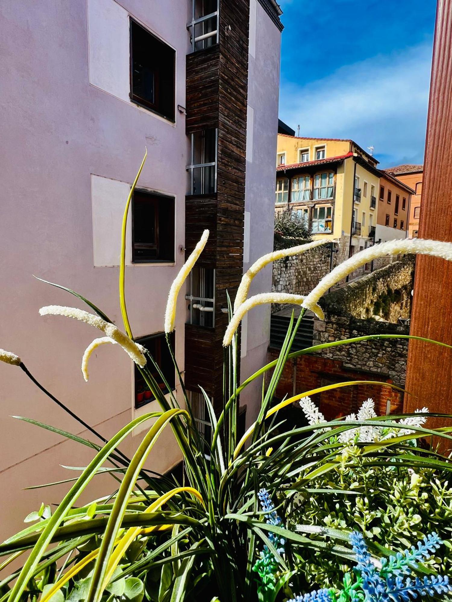 El Capricho De Claudia_ Apartamentos Burgos Catedral Esterno foto